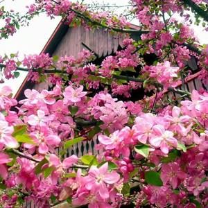 Meet your Posher, Gina